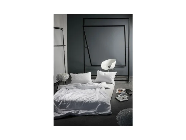dinichance5017215